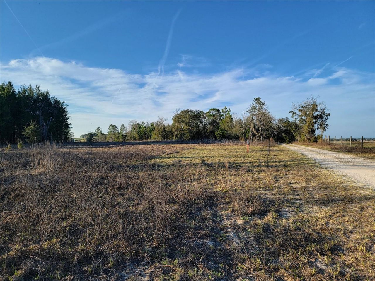 0 NE 20th Street, Williston, FL 32696 Photo