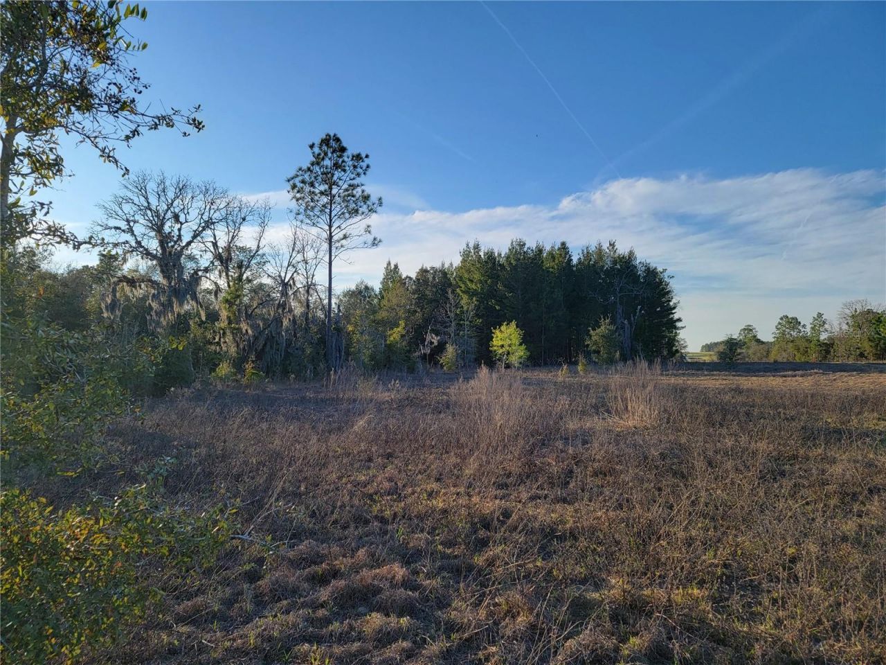 0 NE 20th Street, Williston, FL 32696 Photo