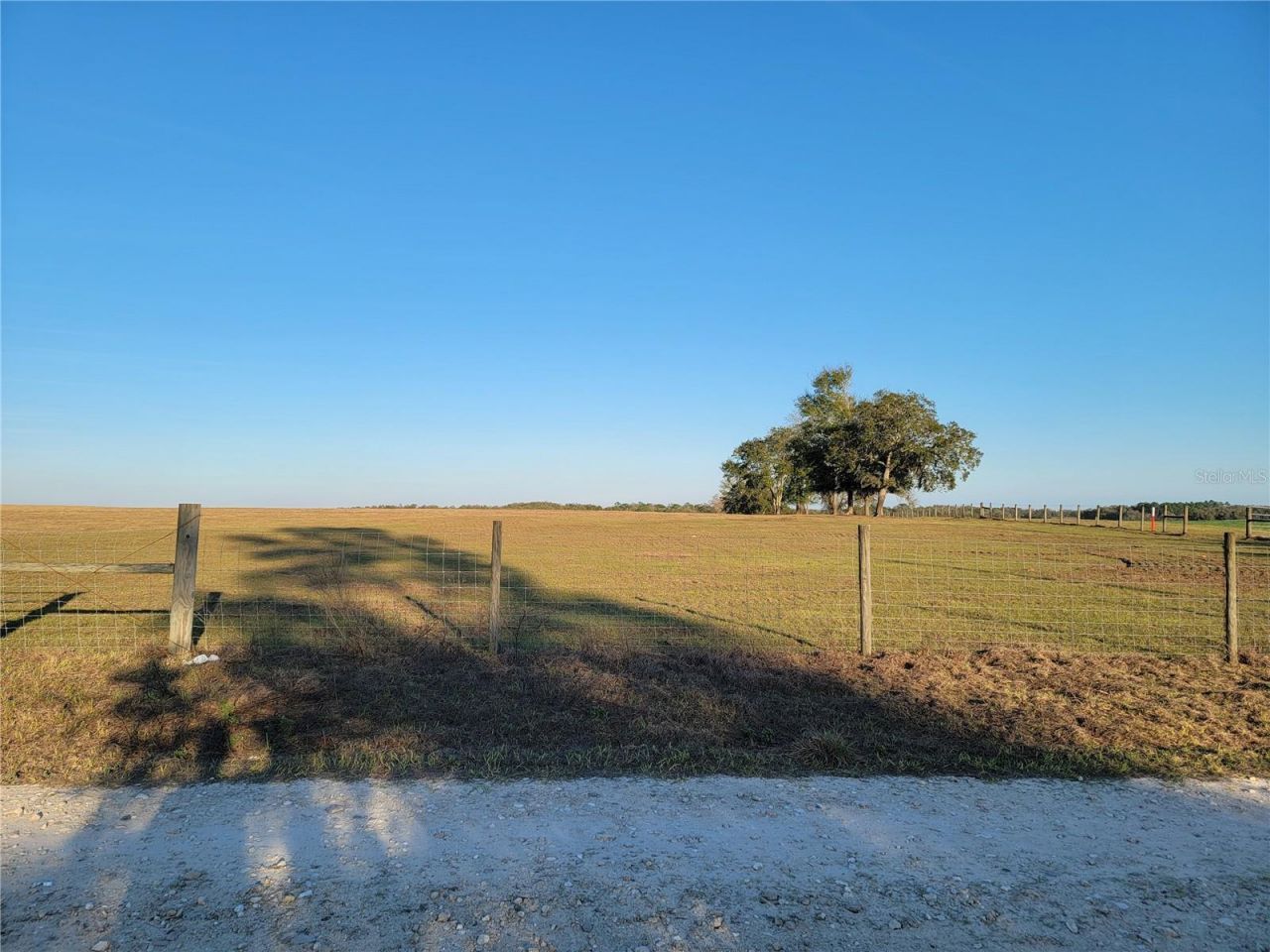 0 NE 20th Street, Williston, FL 32696 Photo