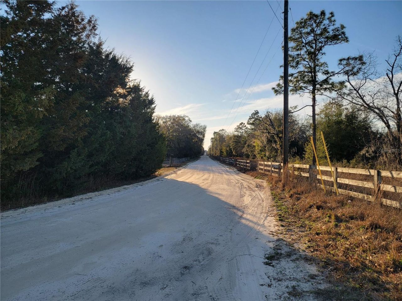 0 NE 20th Street, Williston, FL 32696 Photo