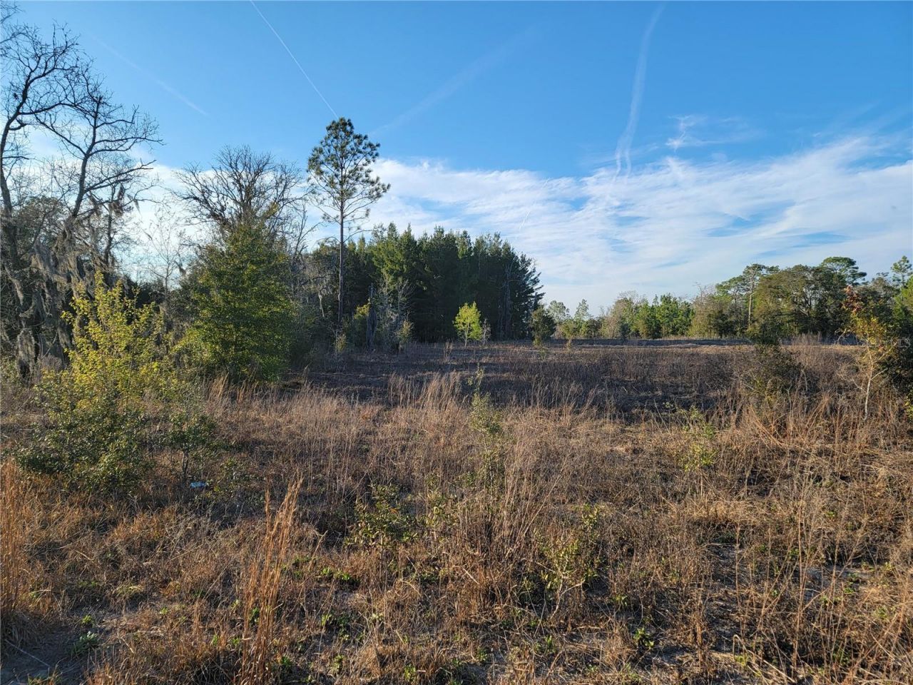 0 NE 20th Street, Williston, FL 32696 Photo
