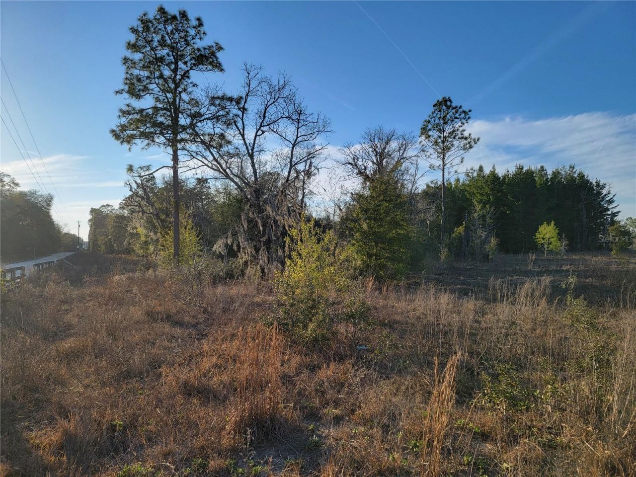 0 NE 20th Street, Williston, FL 32696 Photo