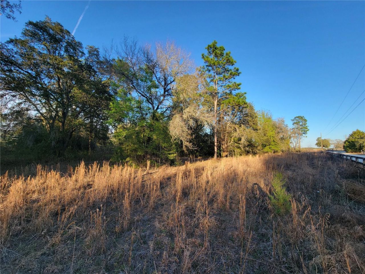 0 NE 20th Street, Williston, FL 32696 Photo