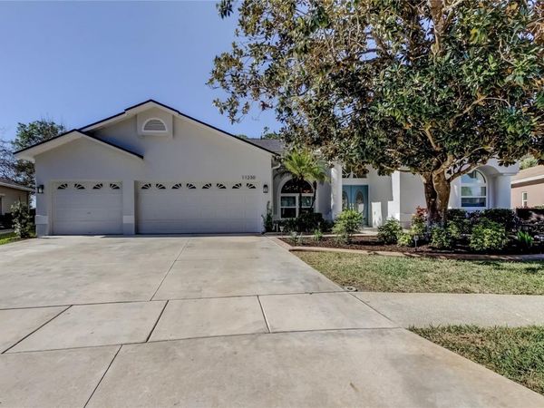 11230 BLOOMINGTON DRIVE , TAMPA, FL 33635