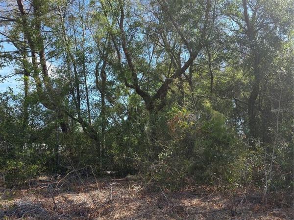 TBD SE 161ST STREET , SUMMERFIELD, FL 34491