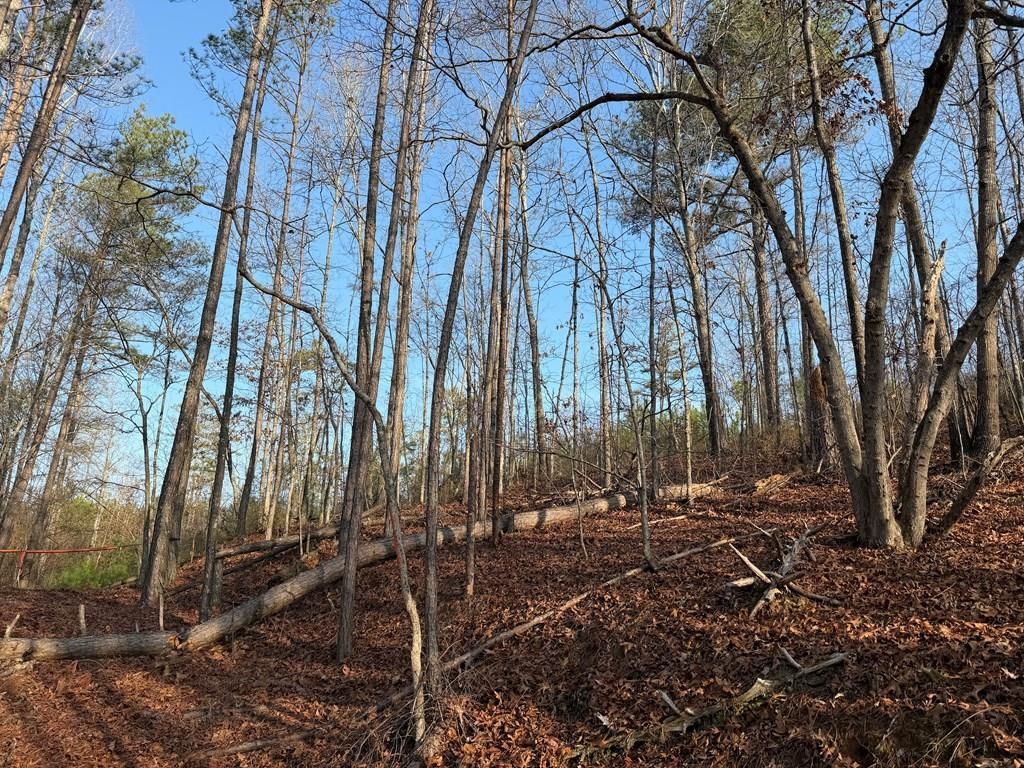 0 Lower Sweetwater Road, Canton, GA 30114 Main Photo
