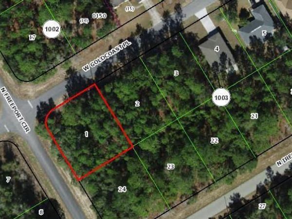 156 W Goldcoast Place, Citrus Springs, FL 34434