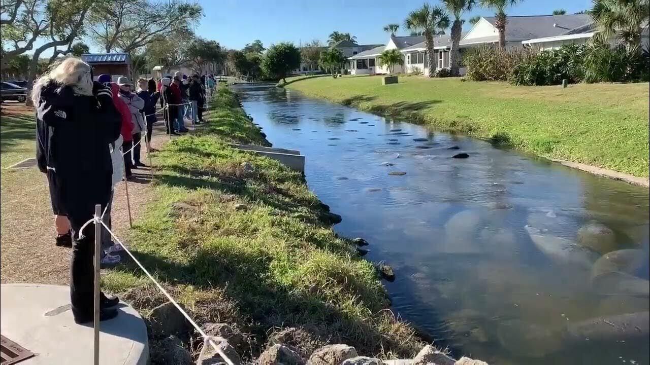 517 Summerset Court , Indian Harbor Beach, FL 32937 Photo