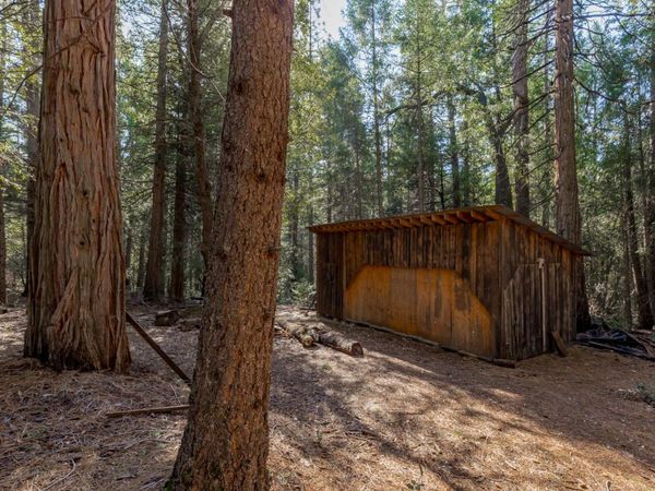 Gold Creek Trail, Volcano, CA 95689