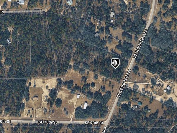 0000 SE 123 RD TERRACE , MORRISTON, FL 32668