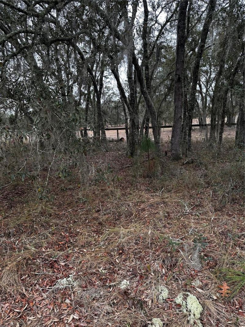 0000 SE 123 Rd Terrace, Morriston, FL 32668 Photo