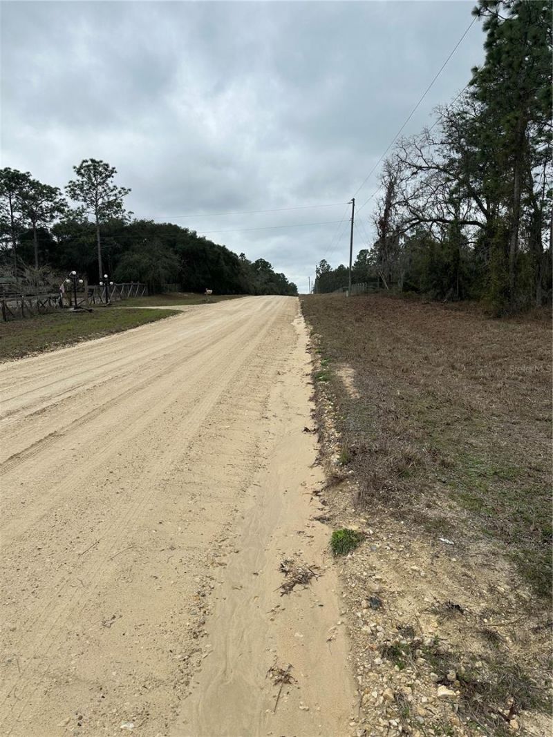 0000 SE 123 Rd Terrace, Morriston, FL 32668 Photo