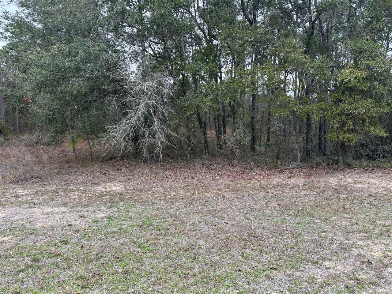 0000 SE 123 Rd Terrace, Morriston, FL 32668 Photo