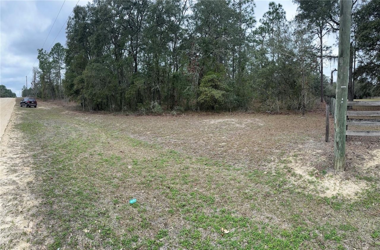 0000 SE 123 Rd Terrace, Morriston, FL 32668 Photo