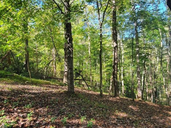 Lot 56 Summer House DR , Hardy, VA 24101