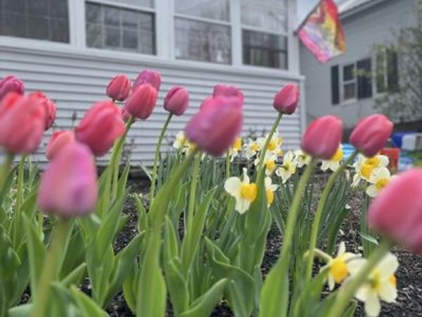 71 Washington St, Greenfield, MA 01301