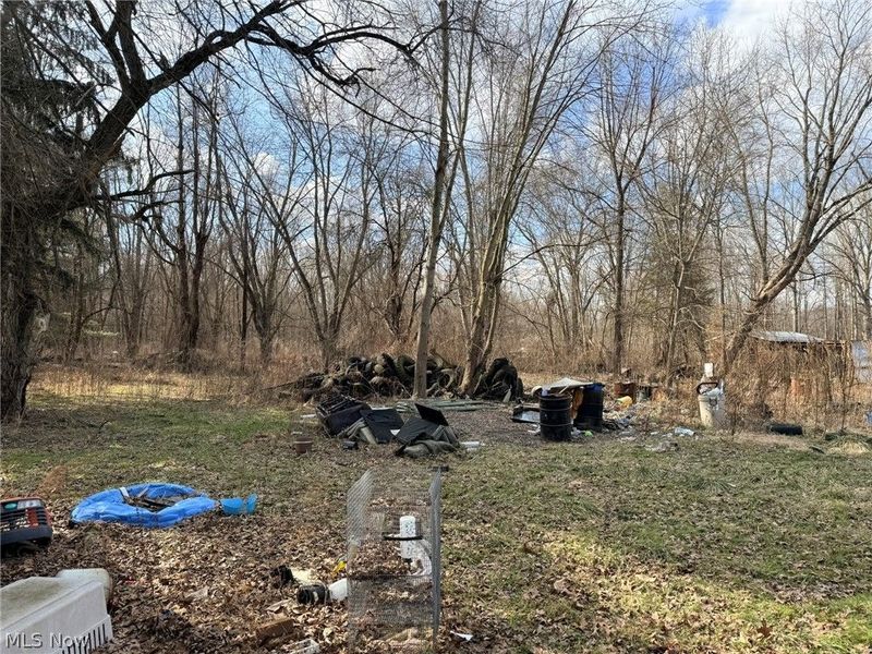 6223 Wayland Road, Ravenna, OH 44266 Photo 12