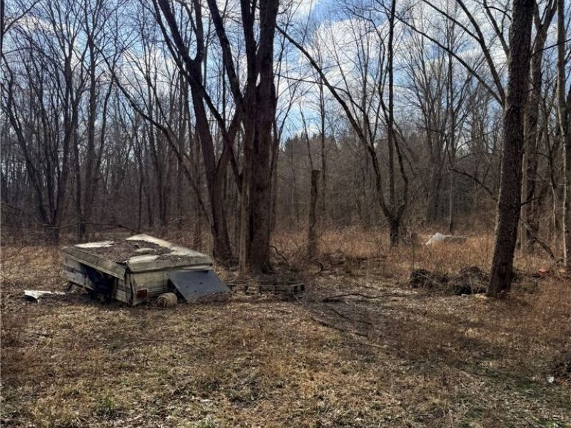 6223 Wayland Road, Ravenna, OH 44266 Photo 47