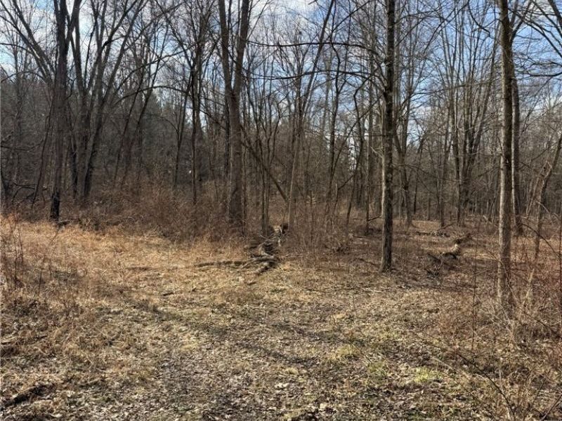 6223 Wayland Road, Ravenna, OH 44266 Photo 49