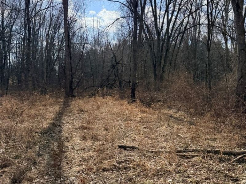 6223 Wayland Road, Ravenna, OH 44266 Photo 50