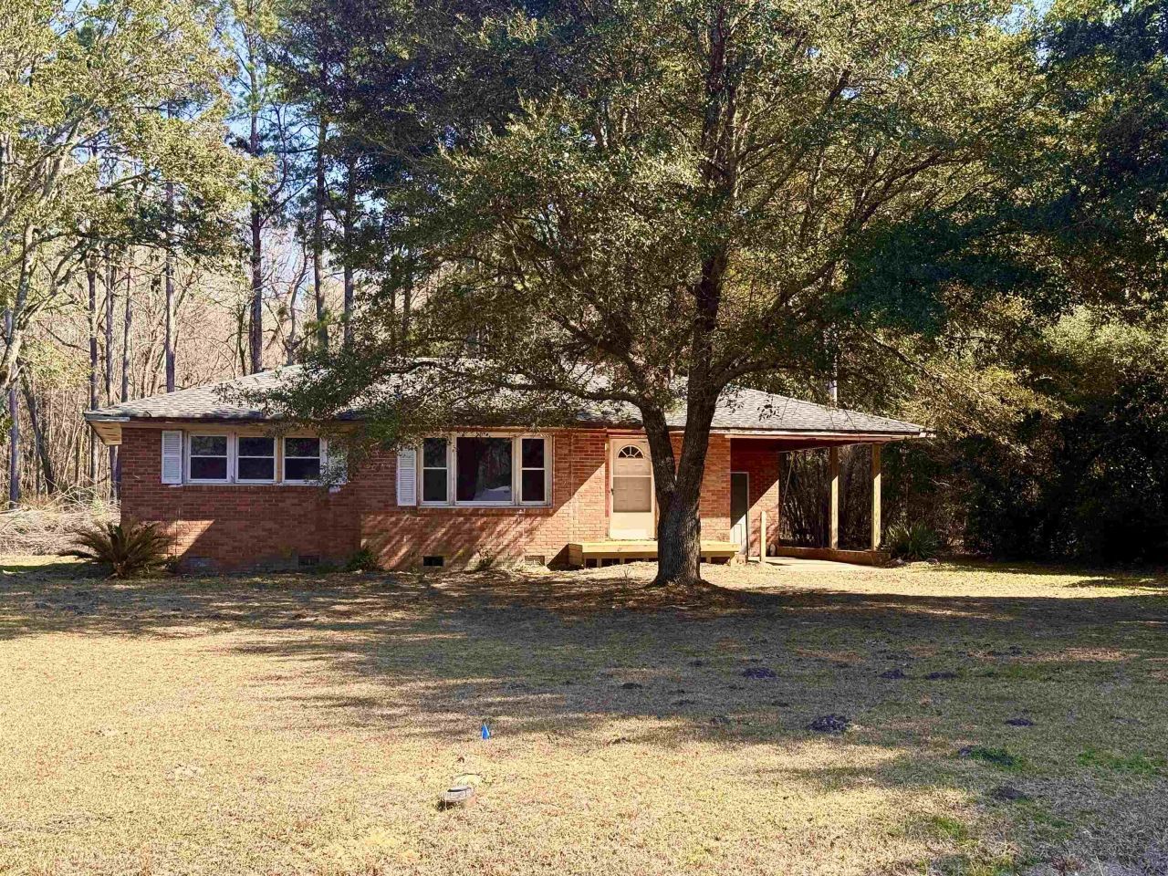 408 Eva Loop Photo 12