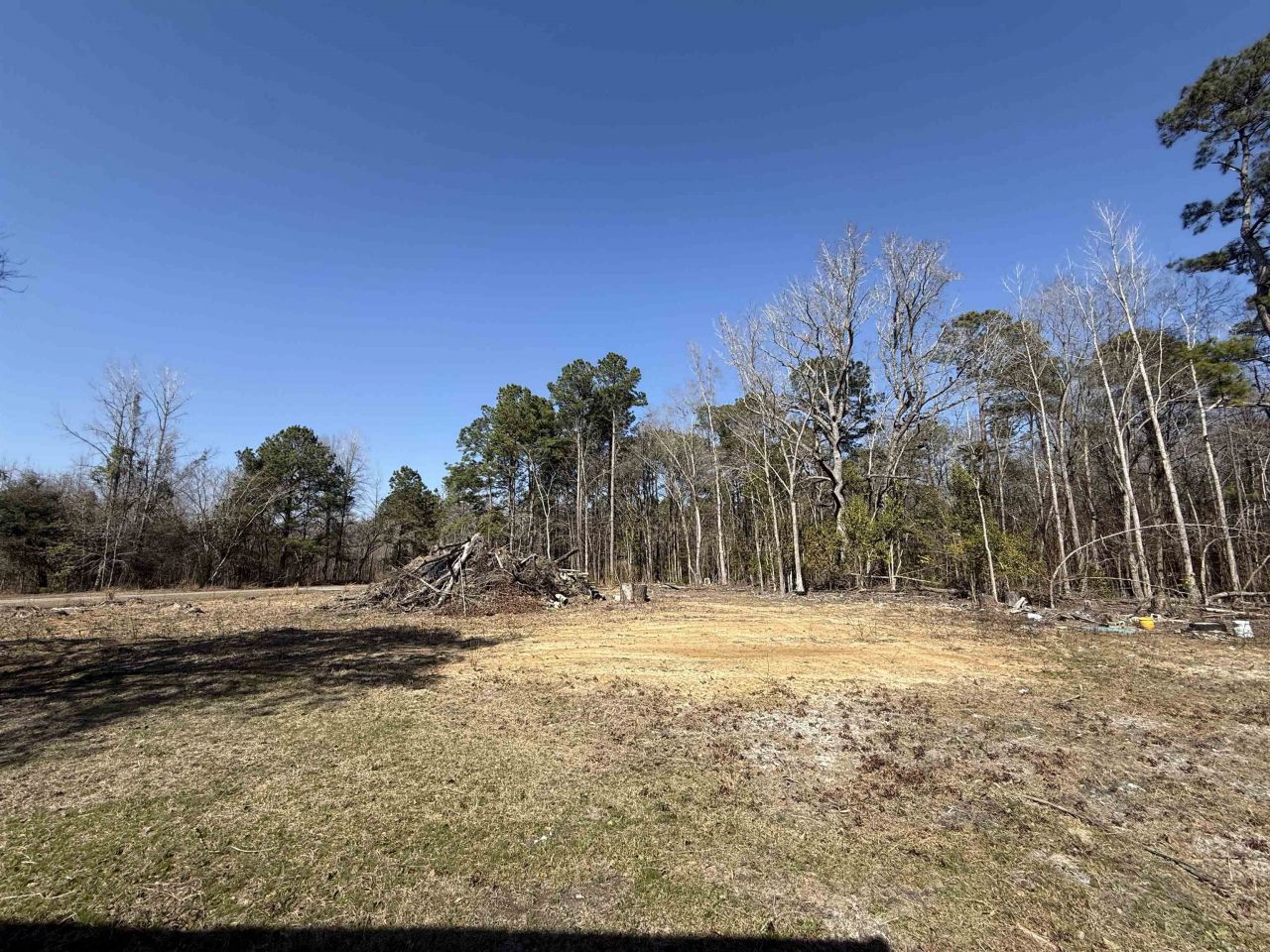 408 Eva Loop Photo 15