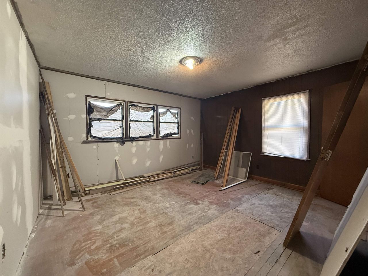 408 Eva Loop Photo 8