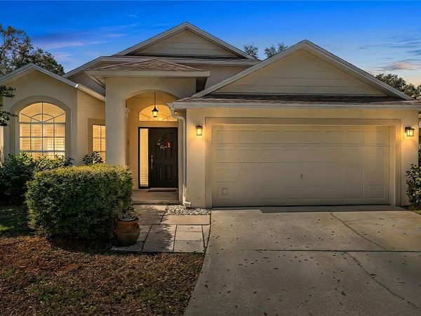 19014 CHEMILLE DRIVE , LUTZ, FL 33558