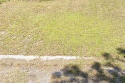 13 Plover Court  photo 4