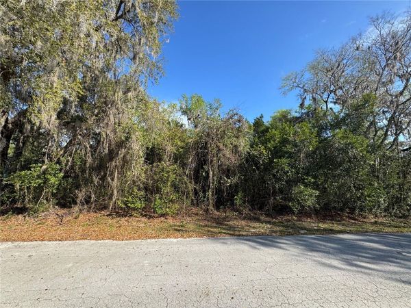 CR 482C , LAKE PANASOFFKEE, FL 33538