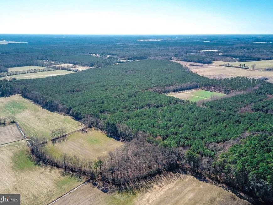 0 Melson Road, Delmar, MD 21875 Main Photo