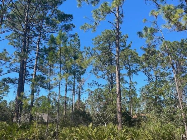 36 SEAGOING TRAIL , PALM COAST, FL 32164