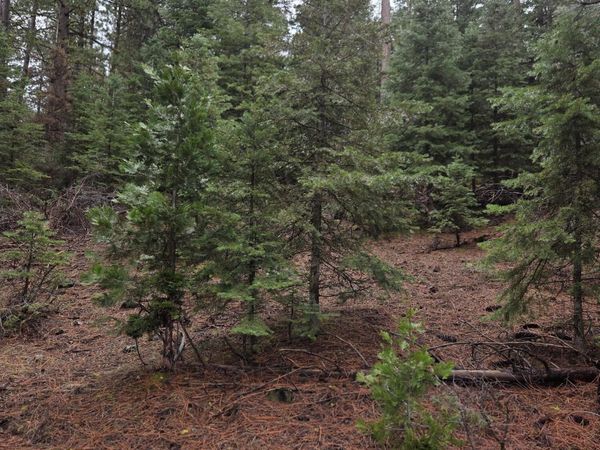 0 E Yak / Hwy 140 Lane, Unit Lot 1, Bonanza, OR 97623