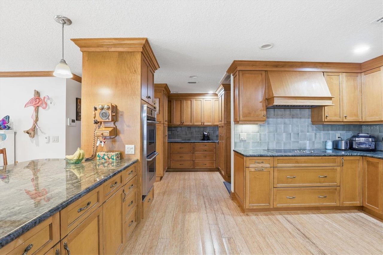 807 W Russell Drive , Plant City, FL 33563 Photo