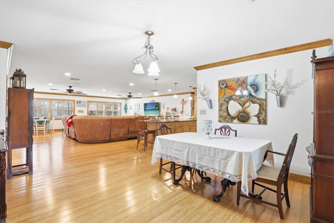 807 W Russell Drive , Plant City, FL 33563 Photo