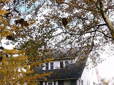 205 E SHOTWELL PARK Park, Accord, NY 13206