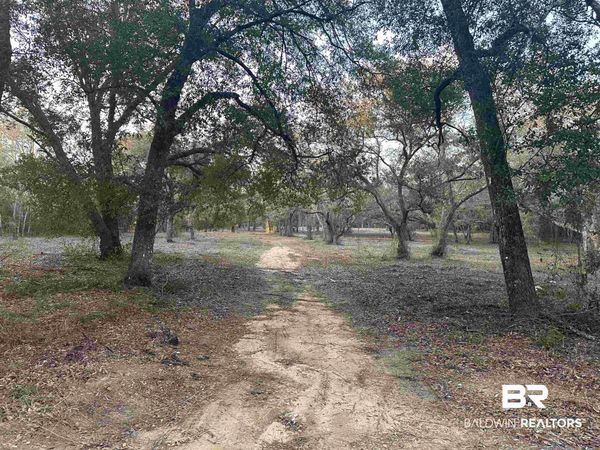 00 County Road 99, Lillian, AL 36549