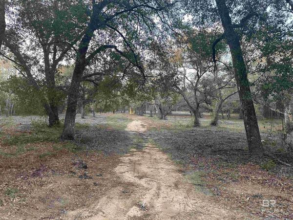 00 County Road 99, Lillian, AL 36549