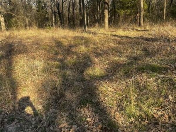 115 Inca Trail, Mabank, TX 75156