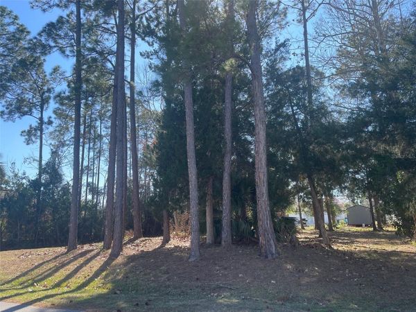 60 BIRCHWOOD DRIVE, PALM COAST, FL 32137