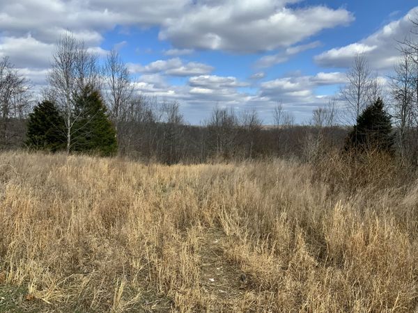 0 Topside Drive , Dover, TN 37058