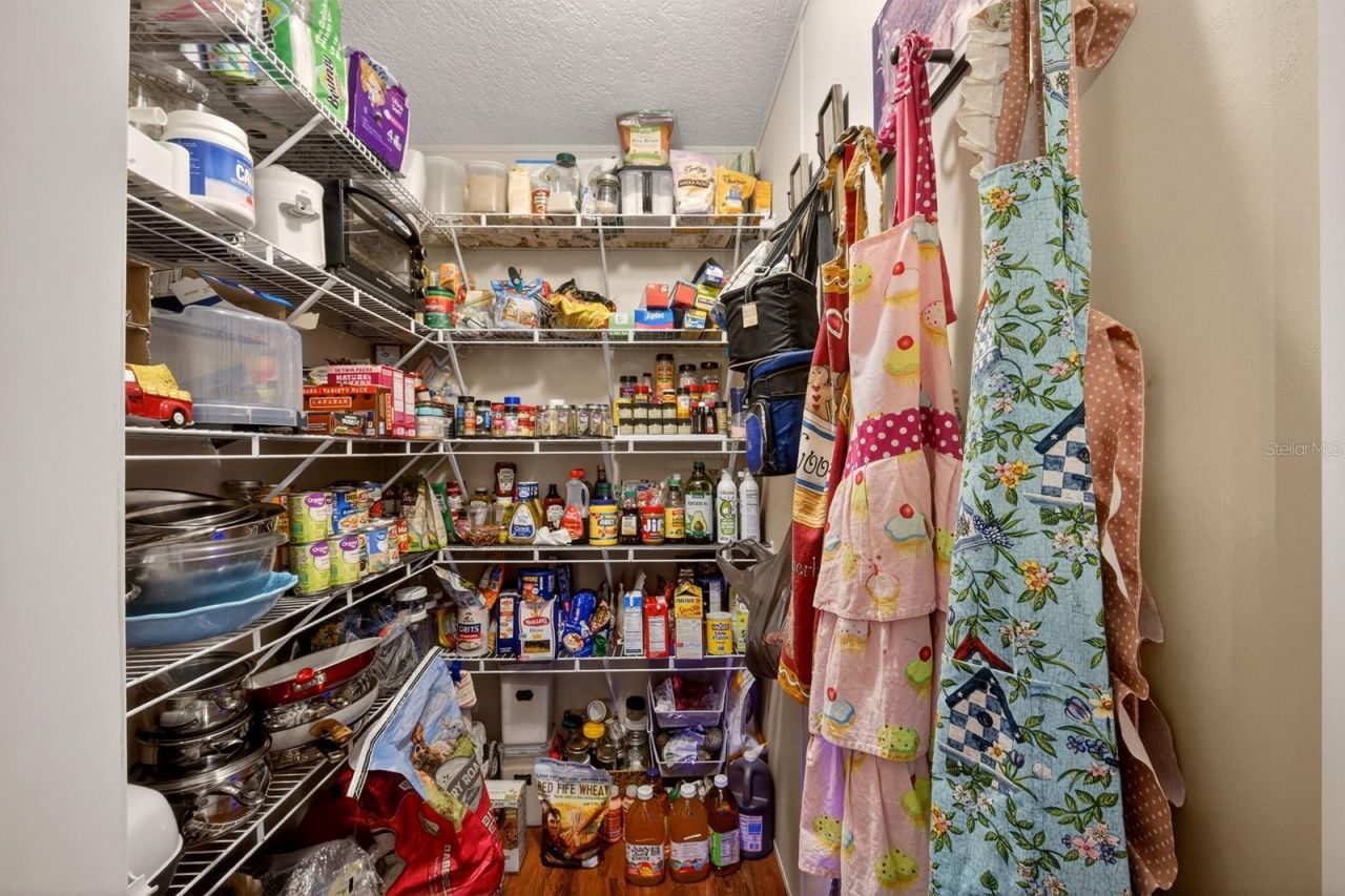 8009 Sergeant Pepper Dr, Howey in the Hills, FL 34737 Photo