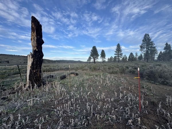 0 Mule Deer Drive, Unit 1, Sprague River, OR 97639