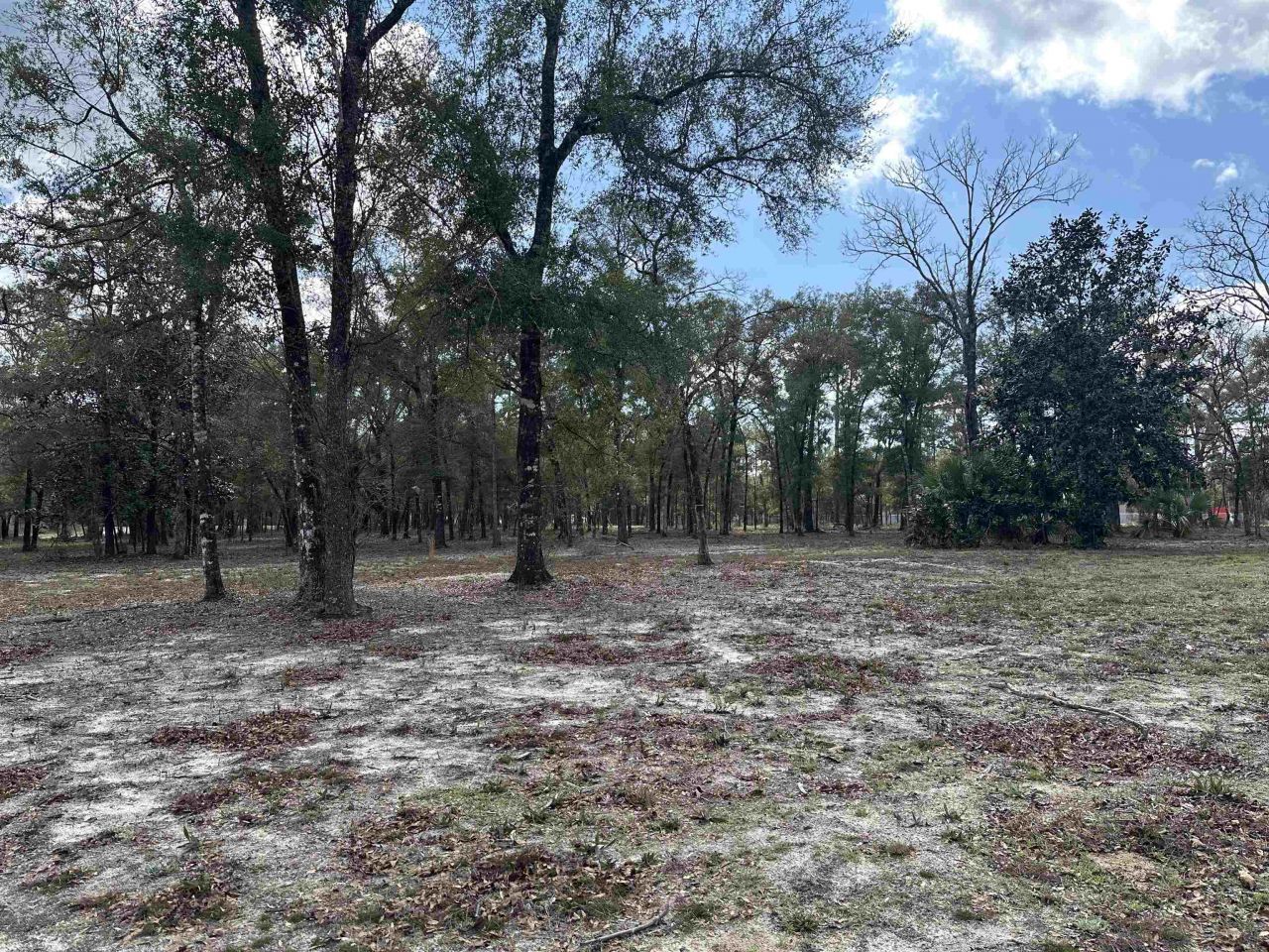 605 Floyd Gray Road , Crawfordville, FL 32327 Photo
