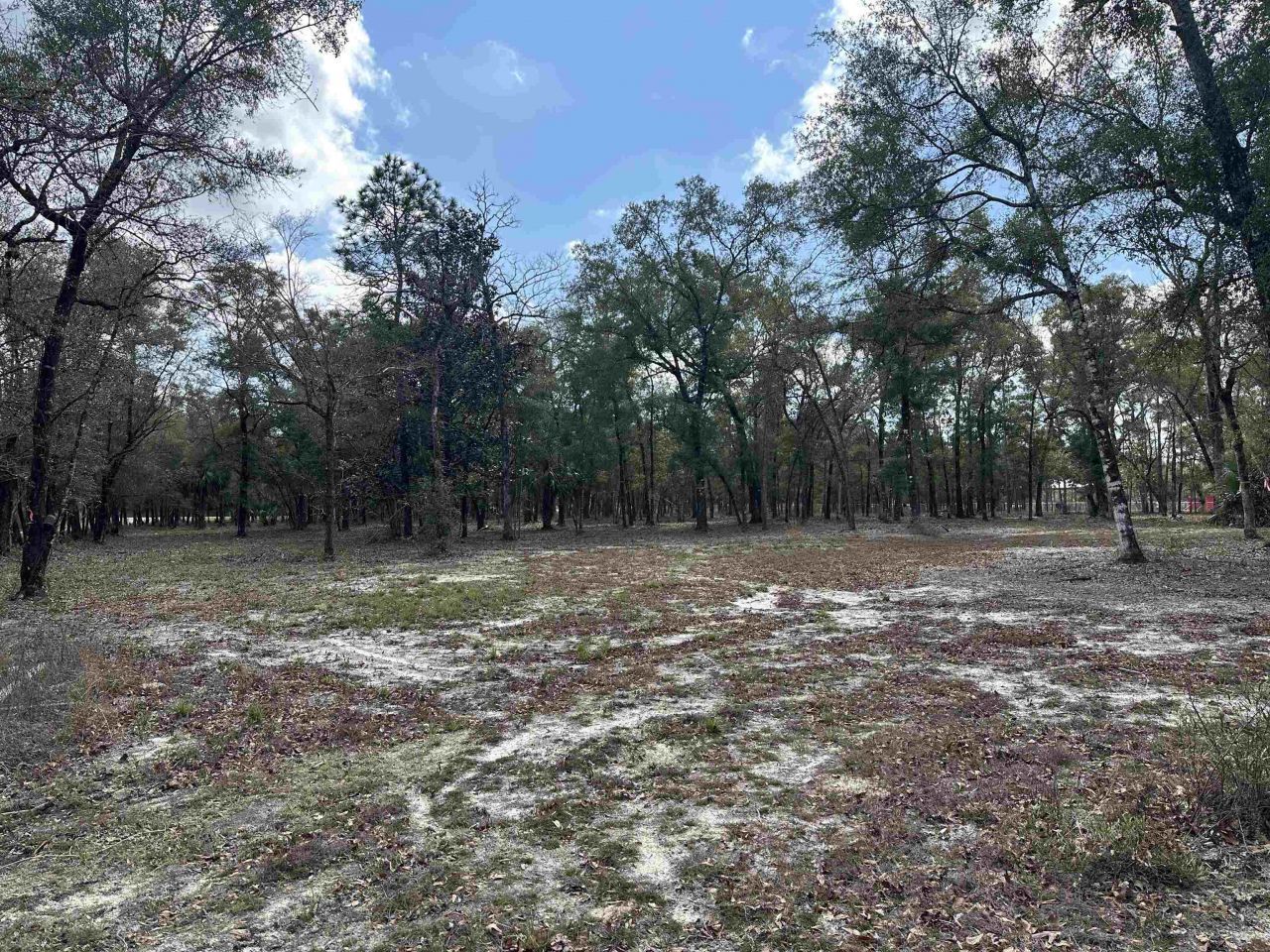 605 Floyd Gray Road , Crawfordville, FL 32327 Photo