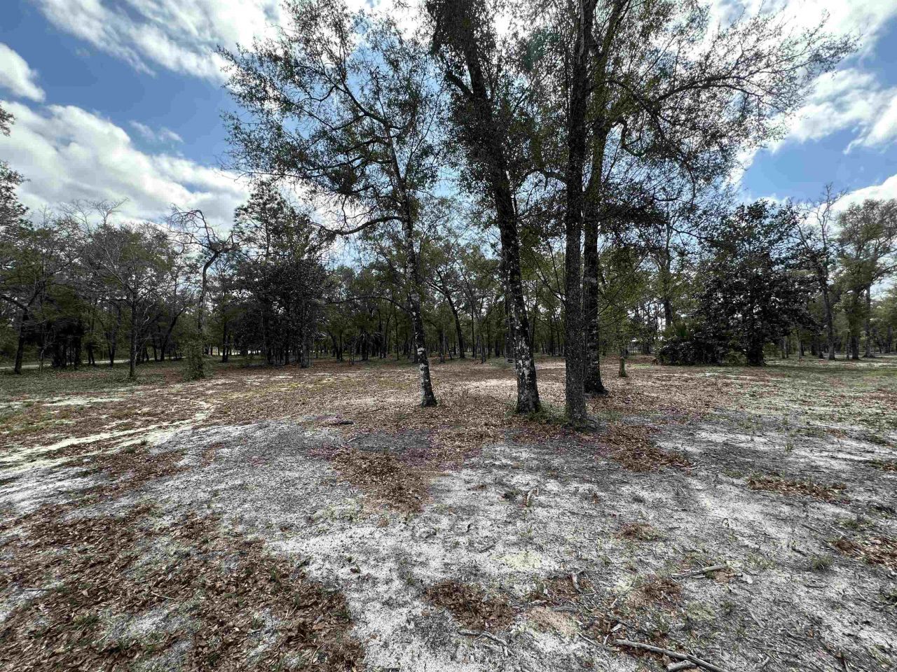 605 Floyd Gray Road , Crawfordville, FL 32327 Photo