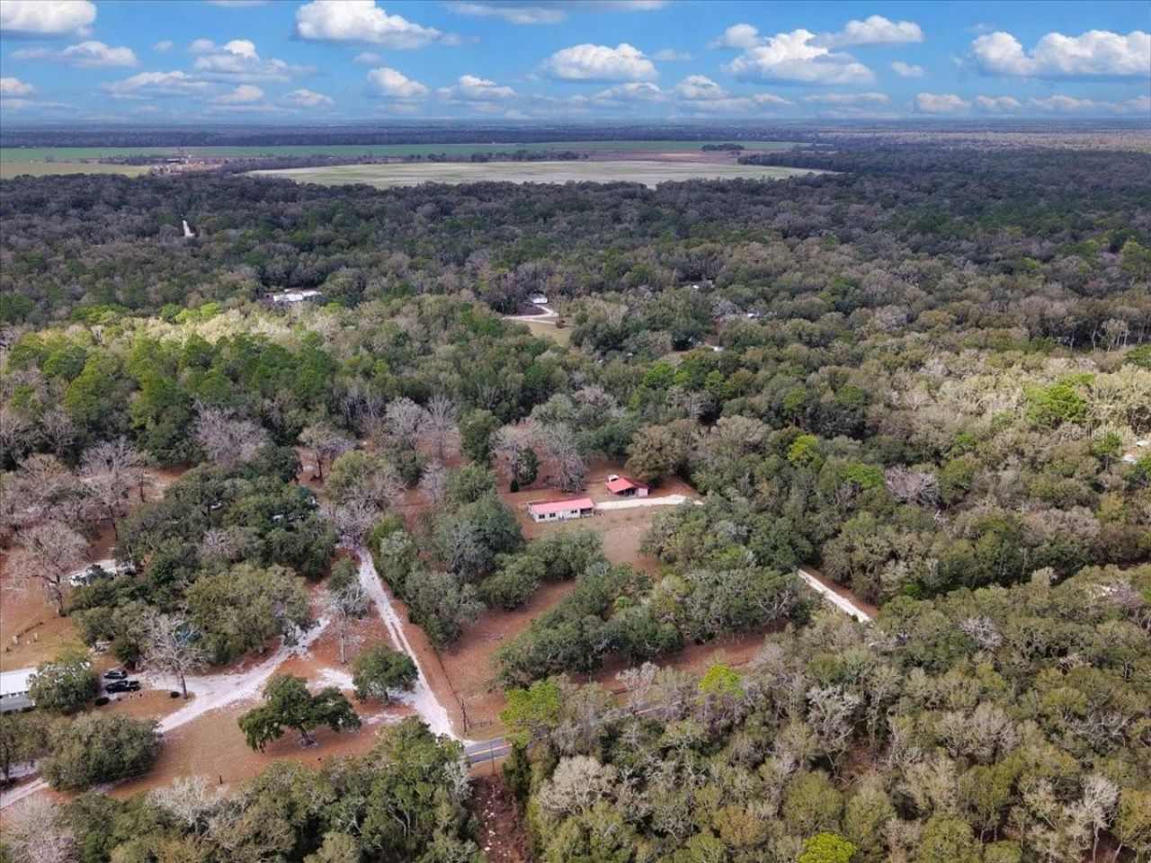 12290 NW 85th Avenue , Chiefland, FL 32626 Photo