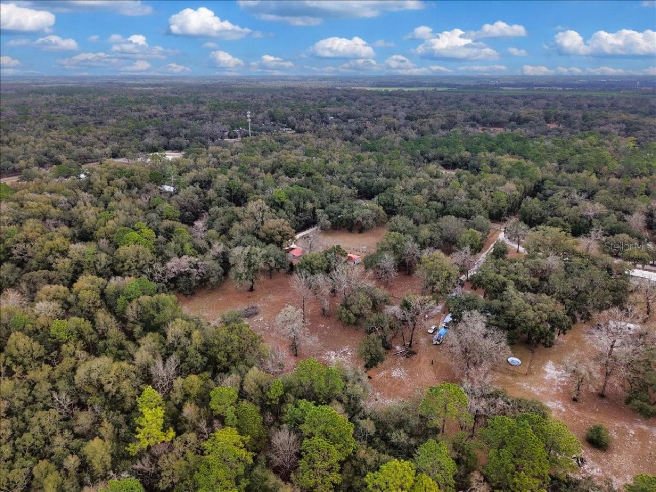 12290 NW 85th Avenue , Chiefland, FL 32626 Photo