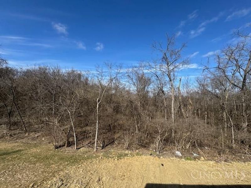 3624 Martha Ann Way, Unit RT283, Ross Twp, OH 45013 Photo 14