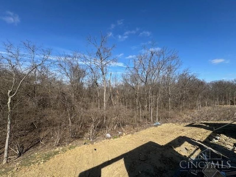 3624 Martha Ann Way, Unit RT283, Ross Twp, OH 45013 Photo 16